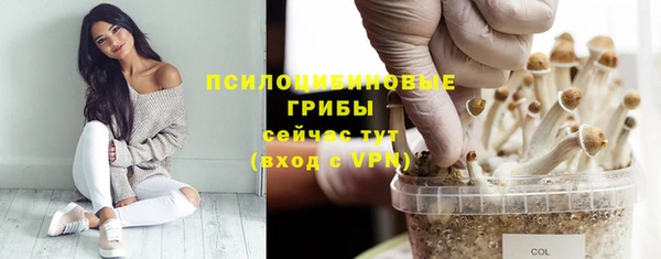 PSILOCYBIN Абдулино