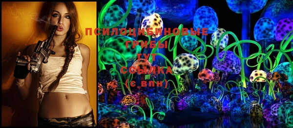 PSILOCYBIN Абдулино