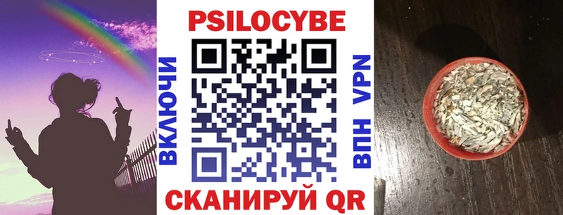 купить наркоту  Зея  Псилоцибиновые грибы мицелий 
